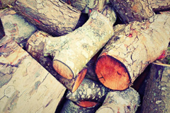 Dummer wood burning boiler costs